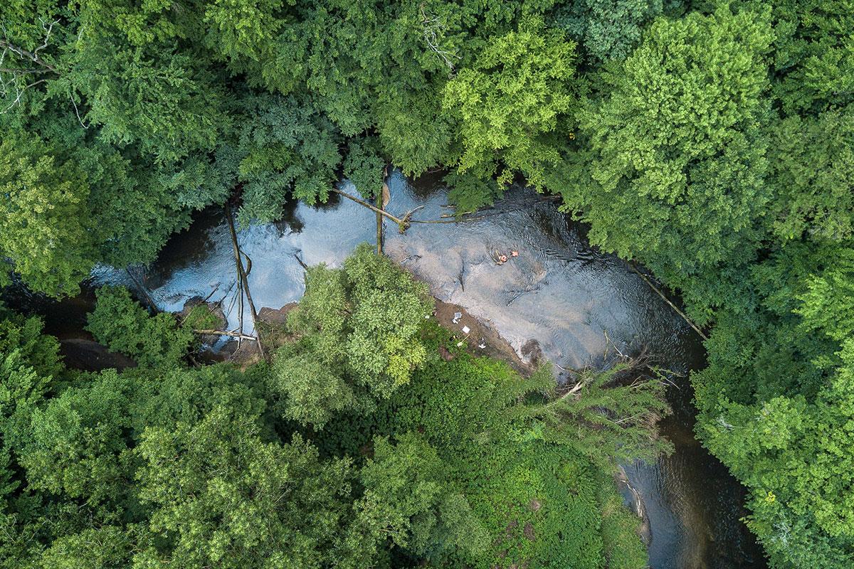 proj253-biodiversitaetsveraenderungen-suesswasser