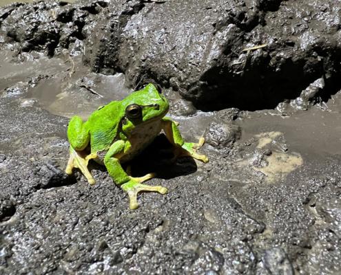 proj258-nachbarschaftshilfe-2