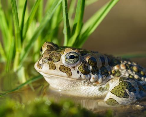 proj258-nachbarschaftshilfe-3